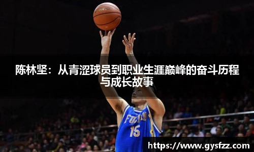 JN体育官网